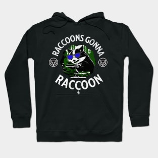 funny raccoon Hoodie